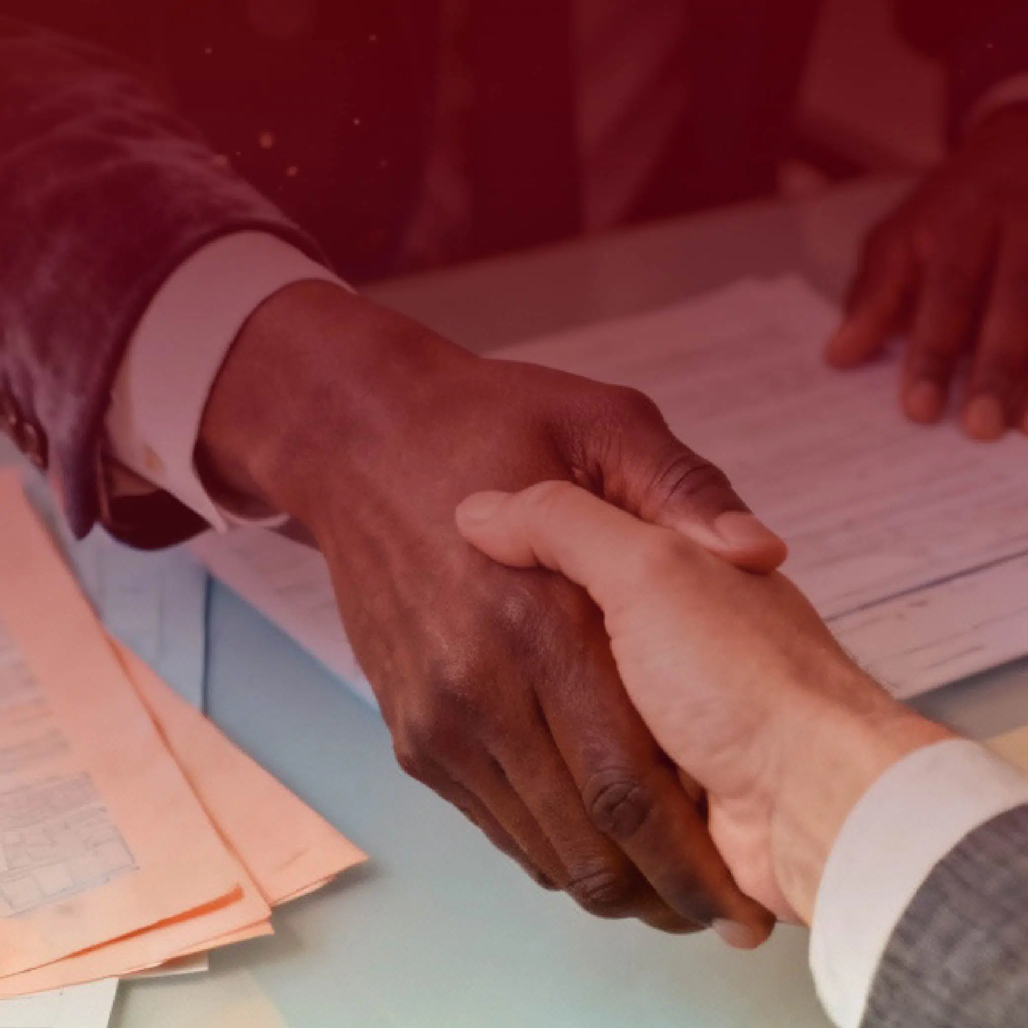 The Privatization Act 2025